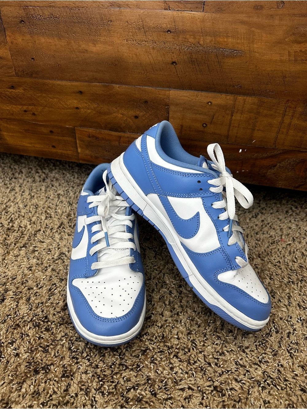Nike Dunk Sneakers “Polor Blue”